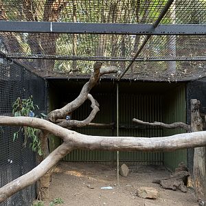 Cockatoo Aviary