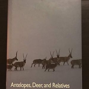 Antelopes, Deer, and Relatives Fossil Record, Behavioural Rcology, Systematics, and Conservation
