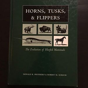 Horns, Tusks, & Flippers  The Evolution of Hoofed Mammals