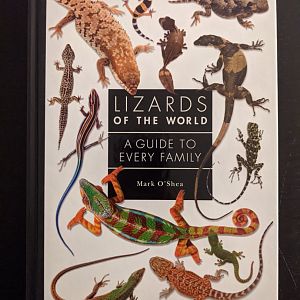 Lizards of the World - A Guide to Every Family