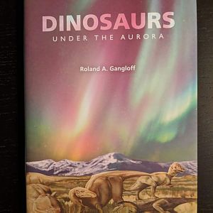 Dinosaurs under the Aurora