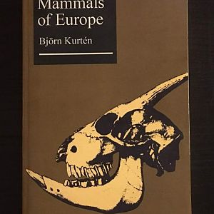 Pleistocene Mammals of Europe