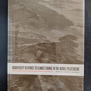 Biodiversity Response to Climate Change in the Middle Pleistocene  The Porcupine Cave Fauna from Colorado