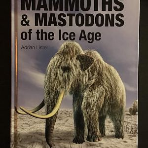 Mammoths & Mastodons of the Ice Age
