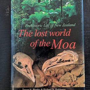 Prehistoric Life of New Zealand - The lost world of the Moa
