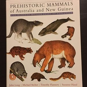Prehistoric Mammals of Australia and New Guinea One Hundred Million Years of Evoloution
