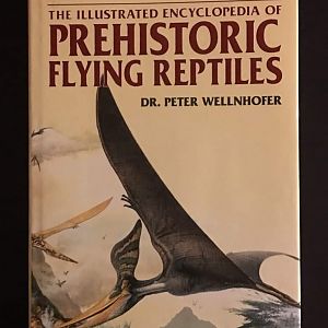 The Illustrated Encyclopedia of Prehistoric Flying Reptiles