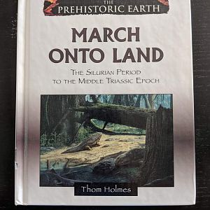 March onto Land  - The Silurian Period to the Middle Triassic Epoch