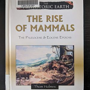 The Rise of Mammals - The Paleocene & Eocene Epochs