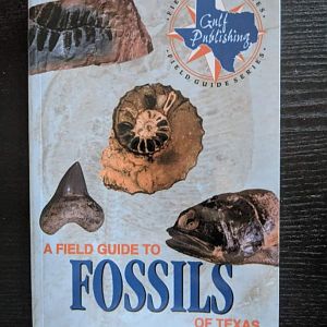 A Field Guide to Fossils of Texas
