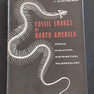 Fossil Snakes of North America - Origin, Evolution, Distribution, Paleoecology