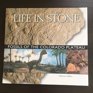 Life in Stone Fossils of the Colorado Plateau