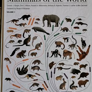 Illustrated Checklist of the Mammals of the World  Vol I