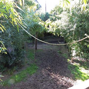 Sanctuaire des okapis [2015]