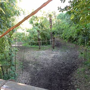 Sanctuaire des okapis [2015]