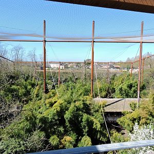 Sanctuaire des okapis [2015]