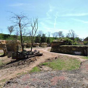 Black rhino exhibit - Vallée des rhinocéros [2015]