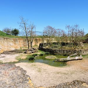 Black rhino exhibit - Vallée des rhinocéros [2015]