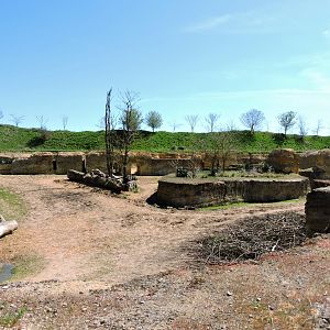 Black rhino exhibit - Vallée des rhinocéros [2015]