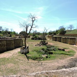 Black rhino exhibit - Vallée des rhinocéros [2015]