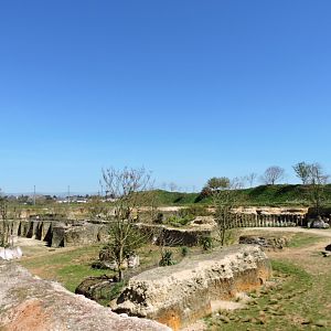 Black rhino exhibit - Vallée des rhinocéros [2015]