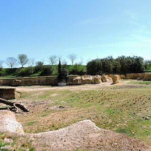Black rhino exhibit - Vallée des rhinocéros [2015]