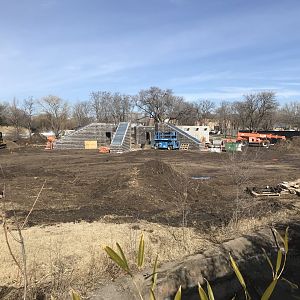 Leopard exhibit construction