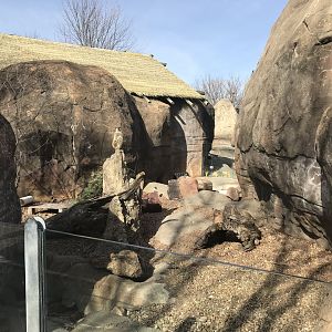 Meerkat exhibit