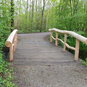New handrails on the bridges.