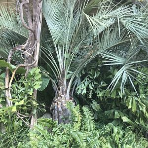 Foliage outside aquarium