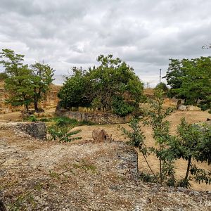 Black rhino exhibit - Vallée des rhinocéros [2020]
