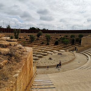 Vulture amphitheater [2020]