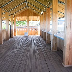 Snow leopard platform