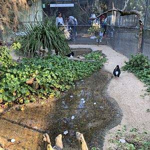 Birds of the Seashore Aviary