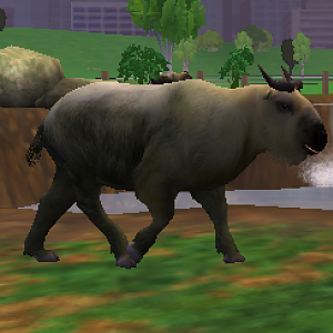 Zoo Tycoon 2 - Sichuan Takin