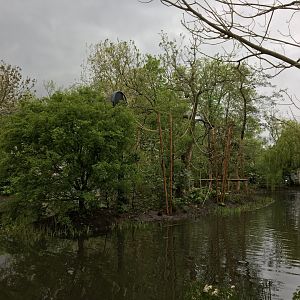 Renovated gibbon island, side view
