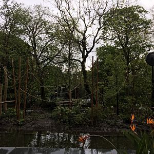 Renovated gibbon island, front view