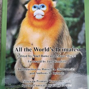 All the World's Primates