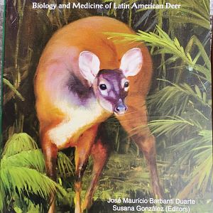 Neotropical Cervidology Biology and Medicine of Latin American Deer