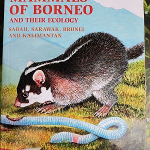 Phillipps' Field Guide to the Mammals of Borneo and their Ecology Sabah, Sarawak, Brunei and Kalimantan