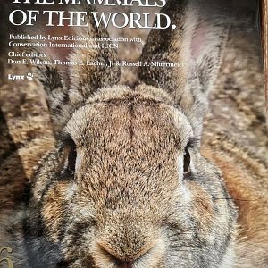 Handbook of the Mammals of the World – Volume 6 Lagomorphs and Rodents I