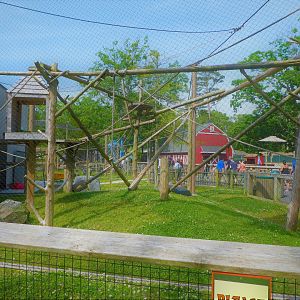 Primate Point - Black Howler Monkey Exhibit
