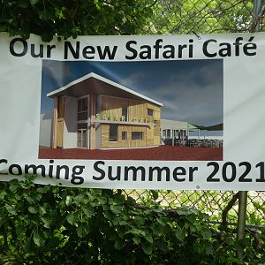 Sign for Safari Cafe