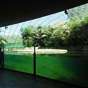 Hippo Dome