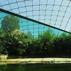 Hippo Dome