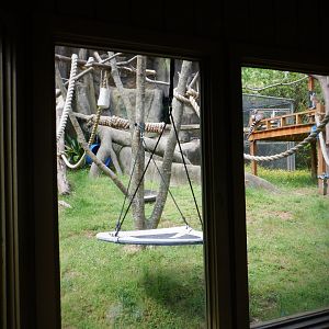 Lemur exhibit at the Greensboro Science Center