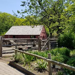 Bergen County Zoo - Farm