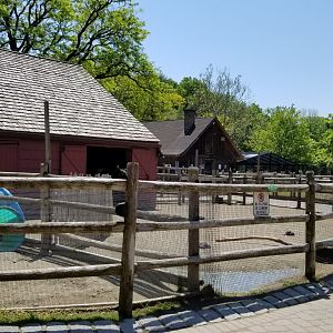 Bergen County Zoo - Farm