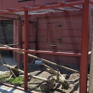 Bergen County Zoo - Farm, empty chicken? area