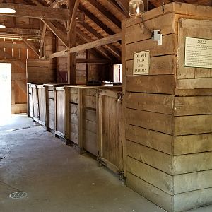 Bergen County Zoo - Farm